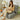 Foldable chair bed offering comfortable seating and a convenient sleeping solution.